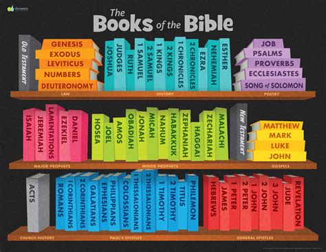 What Bible Has All the Books: A Multifaceted Discussion